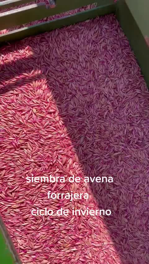 @Pablo Villarreal