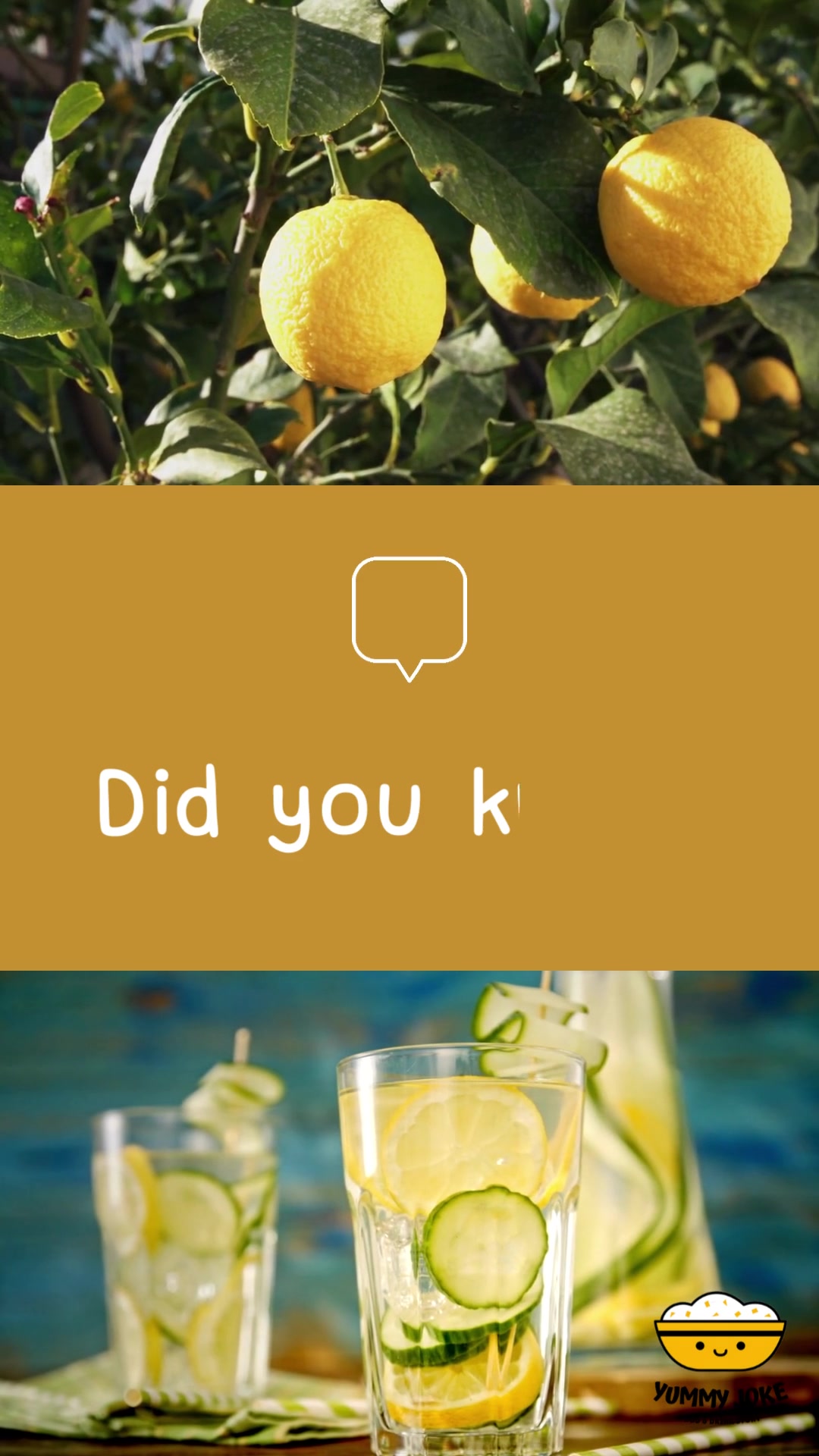 @Yummy Joke