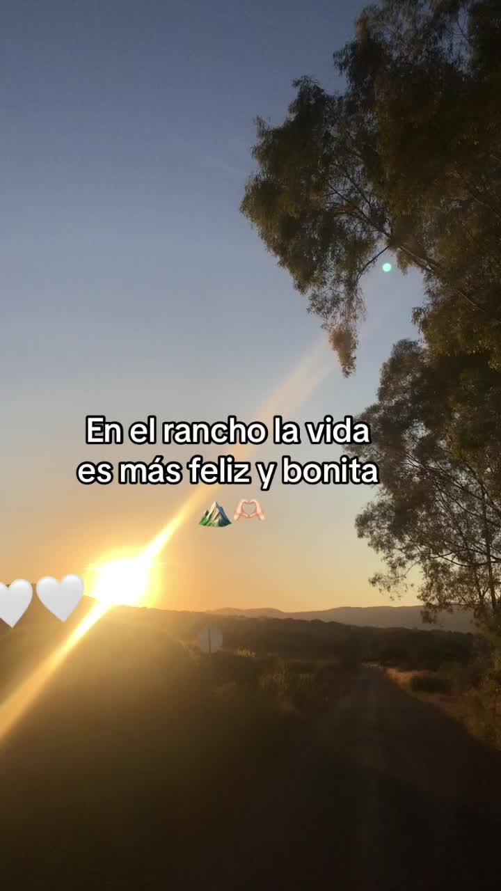 @angelicamurillo503