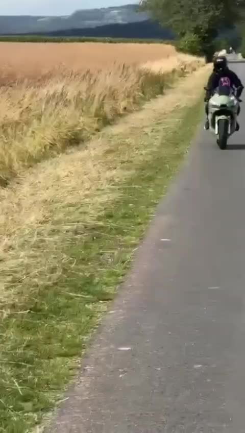 @reneakarenetti🏍💨