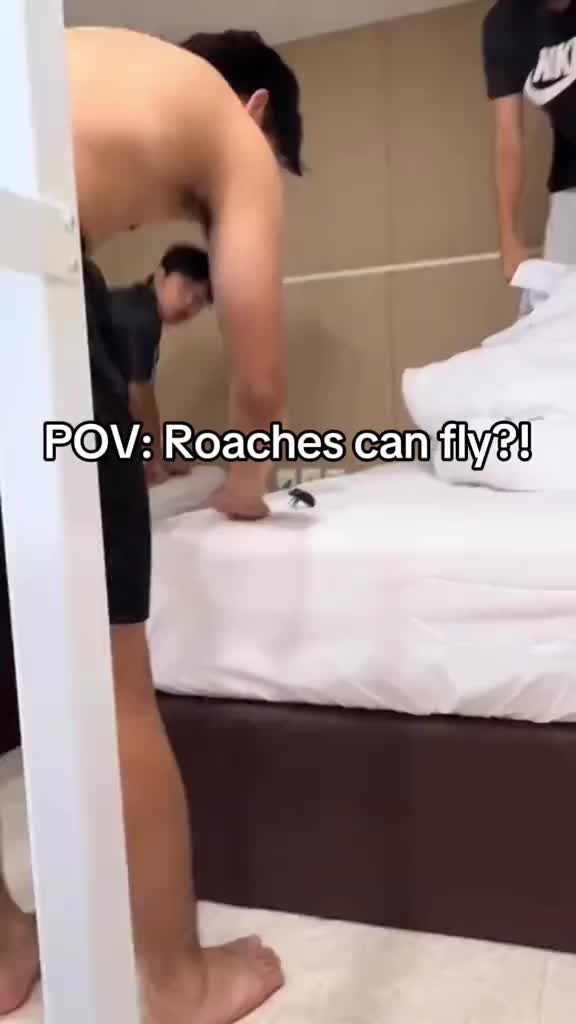 @Reposting591