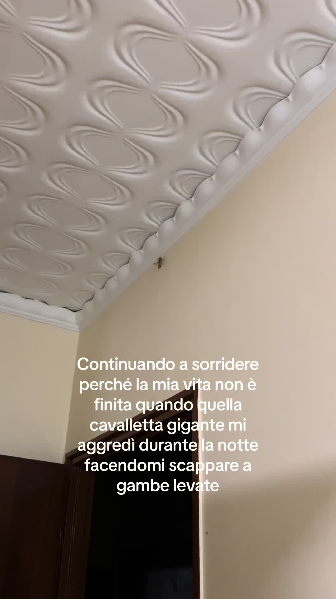@𝒜𝓊𝓈𝒾𝓁𝒾𝒶🦋
