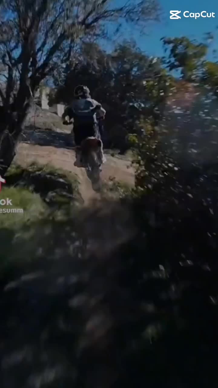 @moi moto