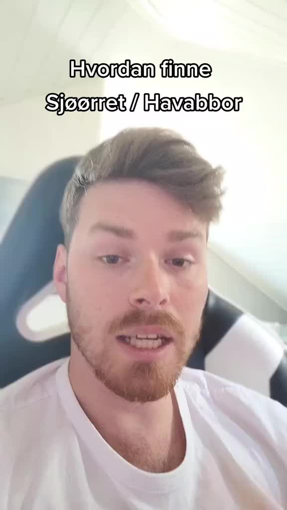 @Sørfiske