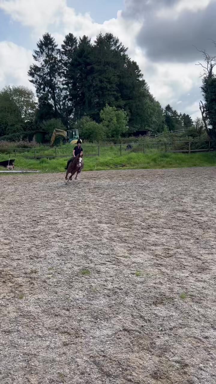 @Horses <3