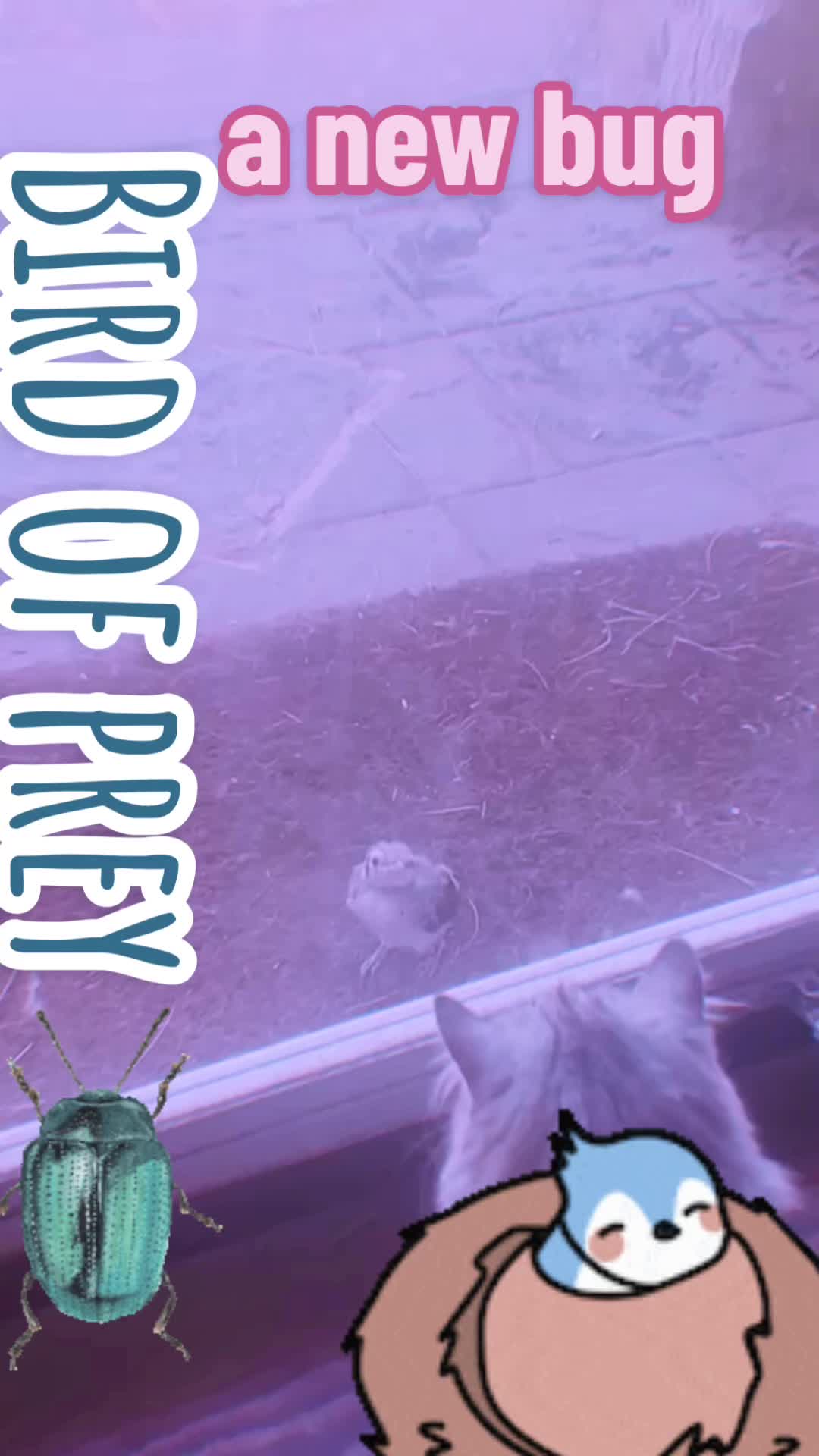 @a new bug