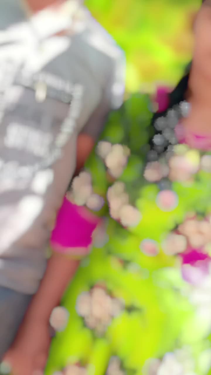 @ϐནവതནயிᰈᮀ།꯭ꯨ ᤌ၈ན᪙ᰈᮀ།꯭ꯨ🫅🏻𝐑𝖏