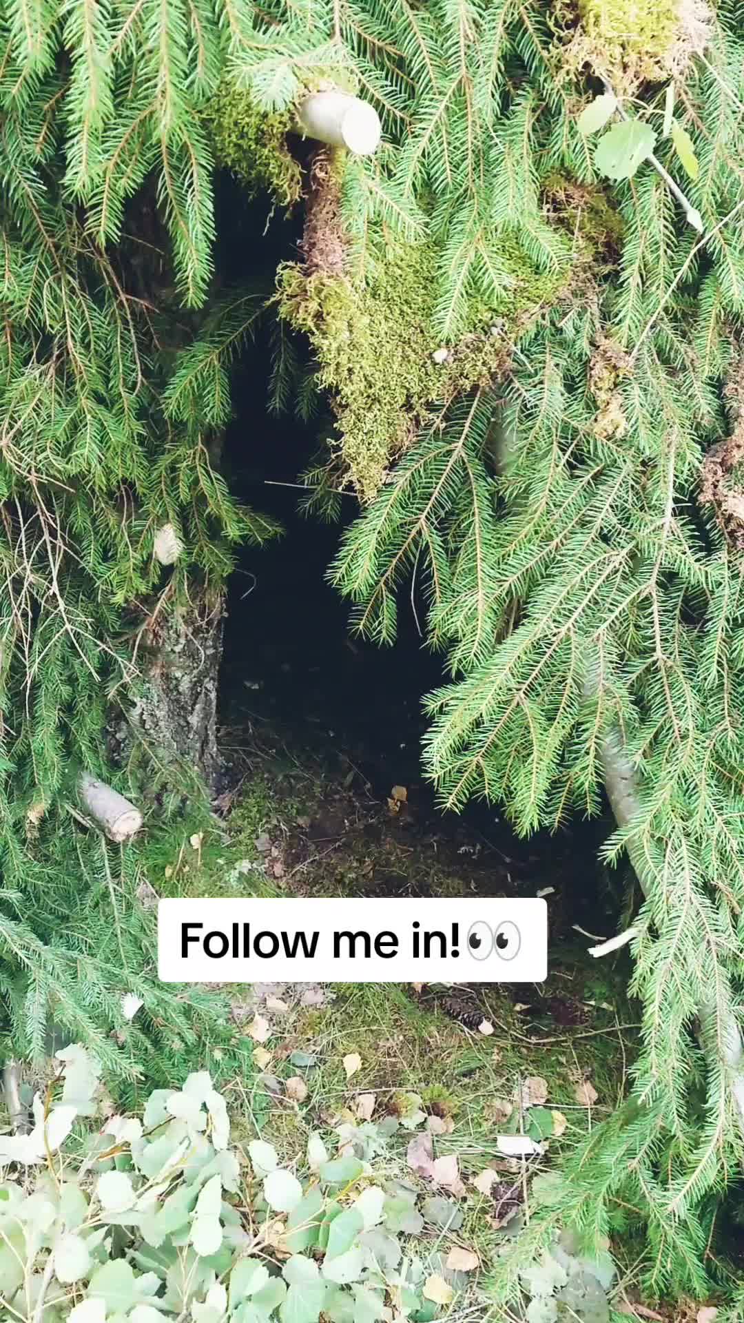 @Sebastian Holmkvist