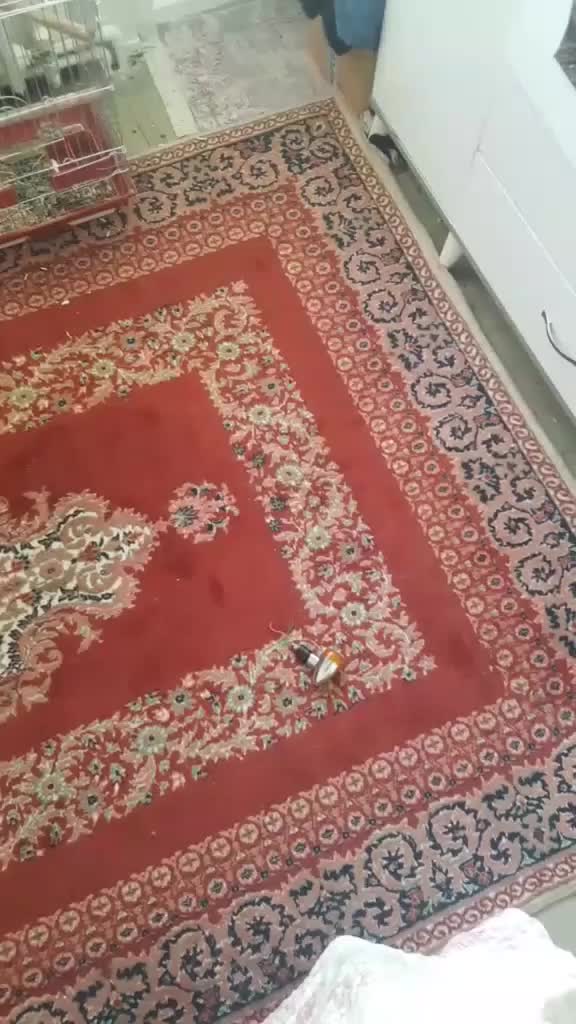 @Tanınmış birisi
