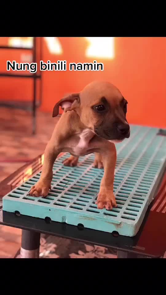 @REPAKOY_GANG