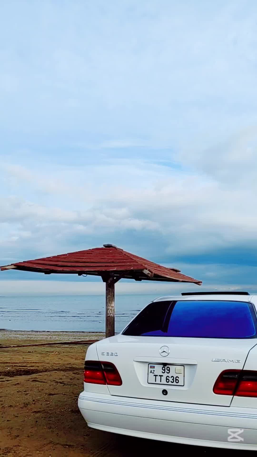 @99-TT-636