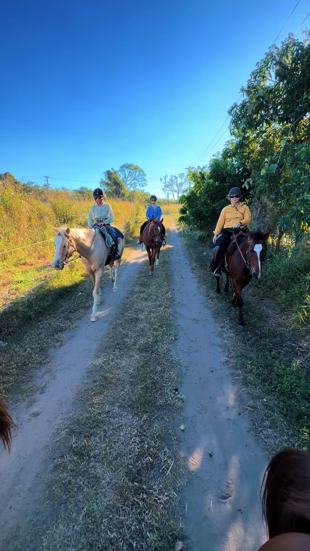 @Stable Connection