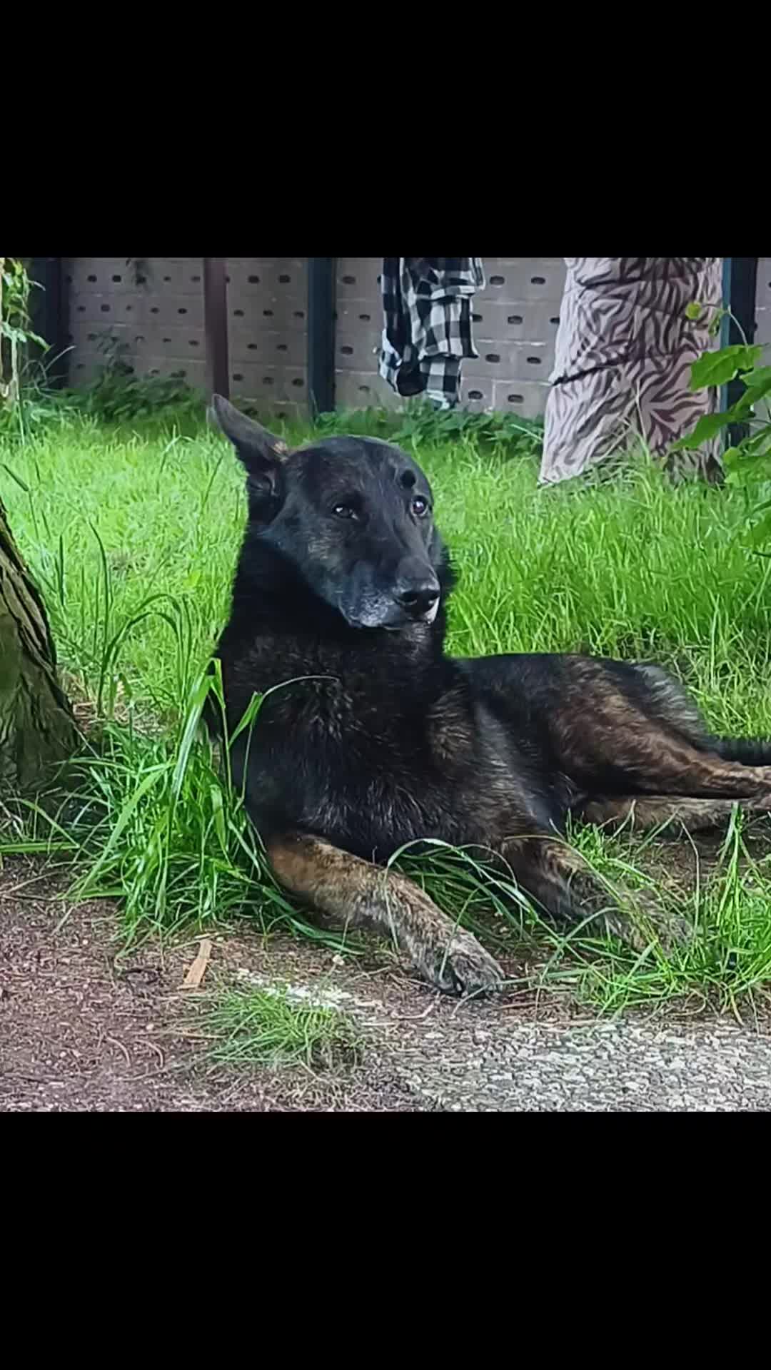 @Anna & Neo 🖤🐾