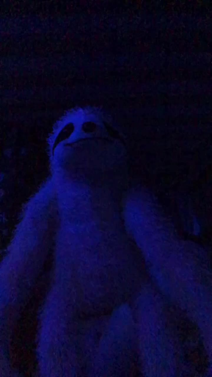 @EpicSloth