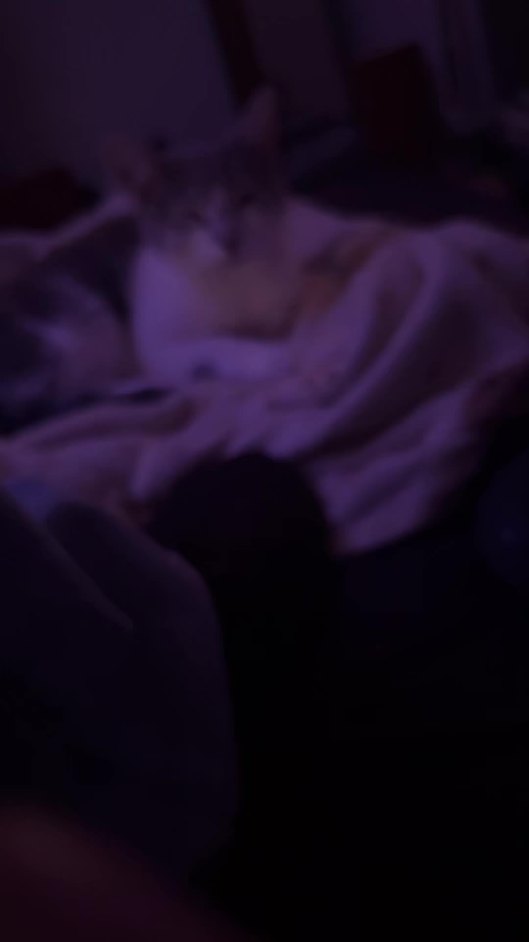 @🤡_Peek_A_Boo_🤡