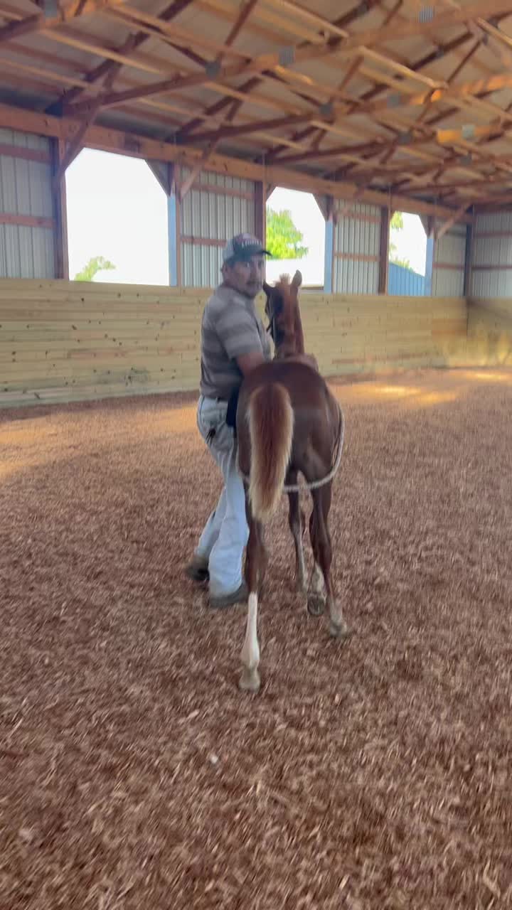 @BoeRanch14