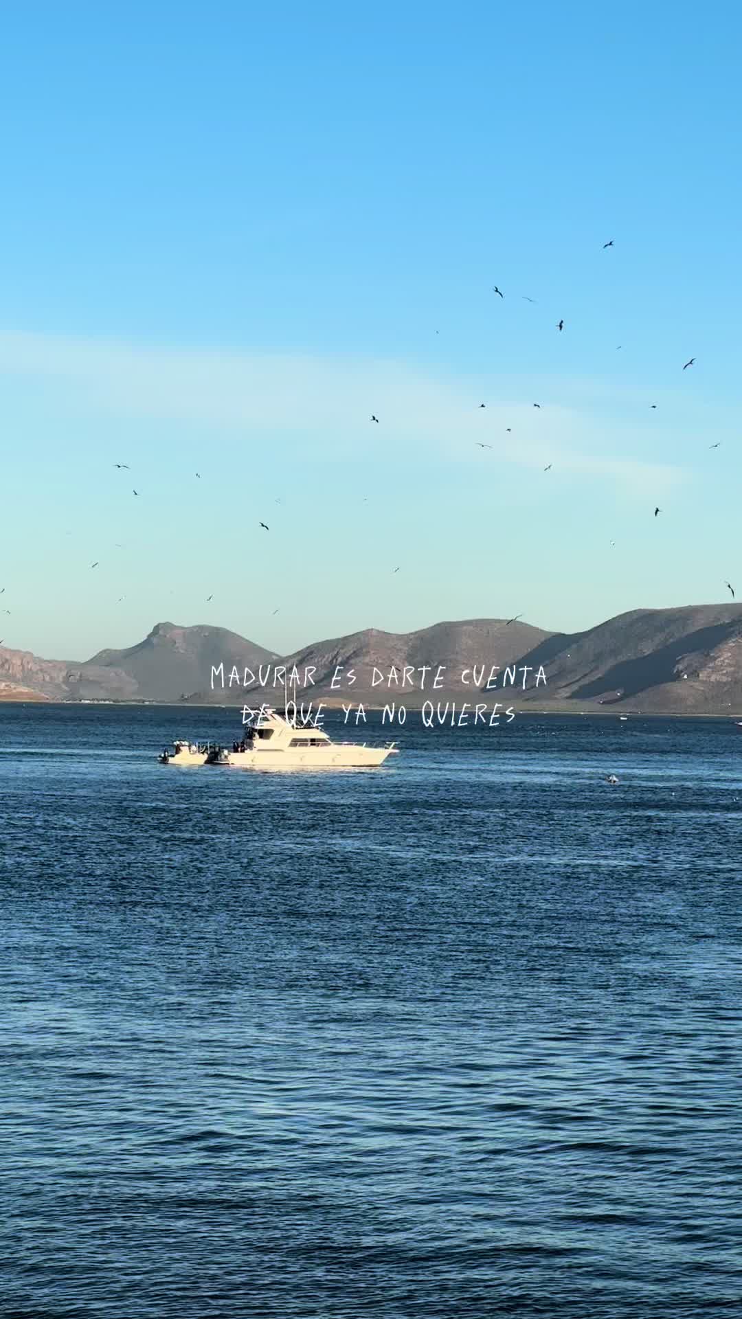 @Caaam