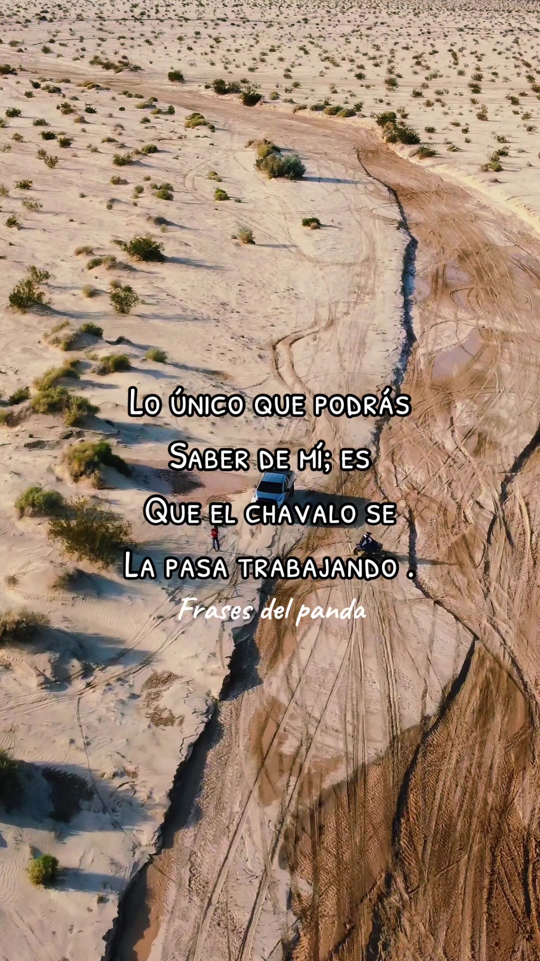 @frases del panda 🥷🏽
