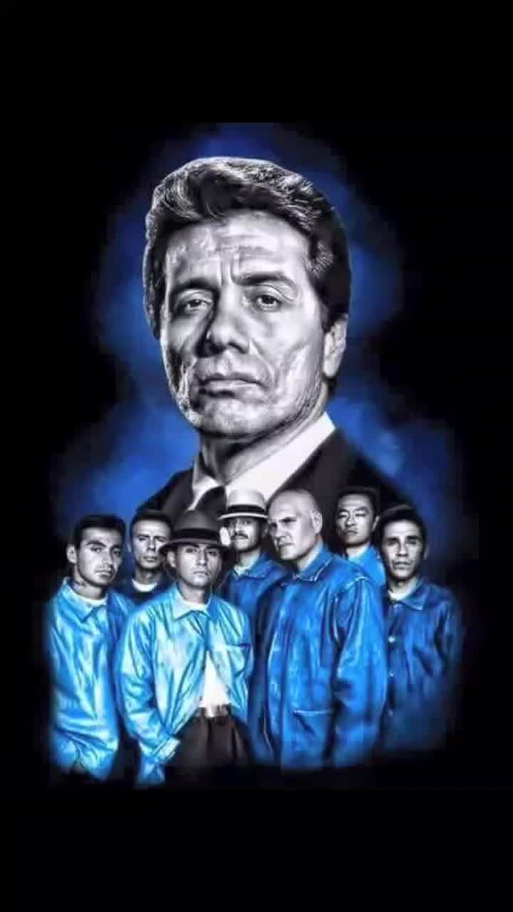 @🦋✨️💙bluedyblue💙✨️🐓