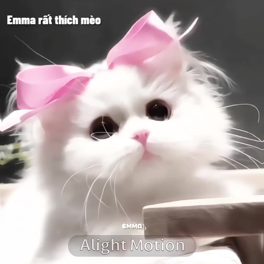 @𝙀𝙢𝙢𝙖🌸