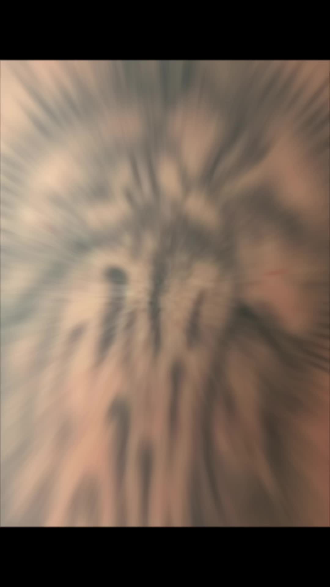 @CoffinTattoos