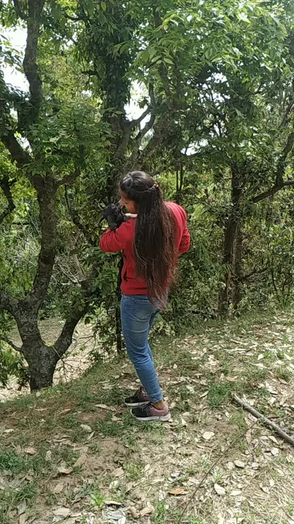 @phadichori