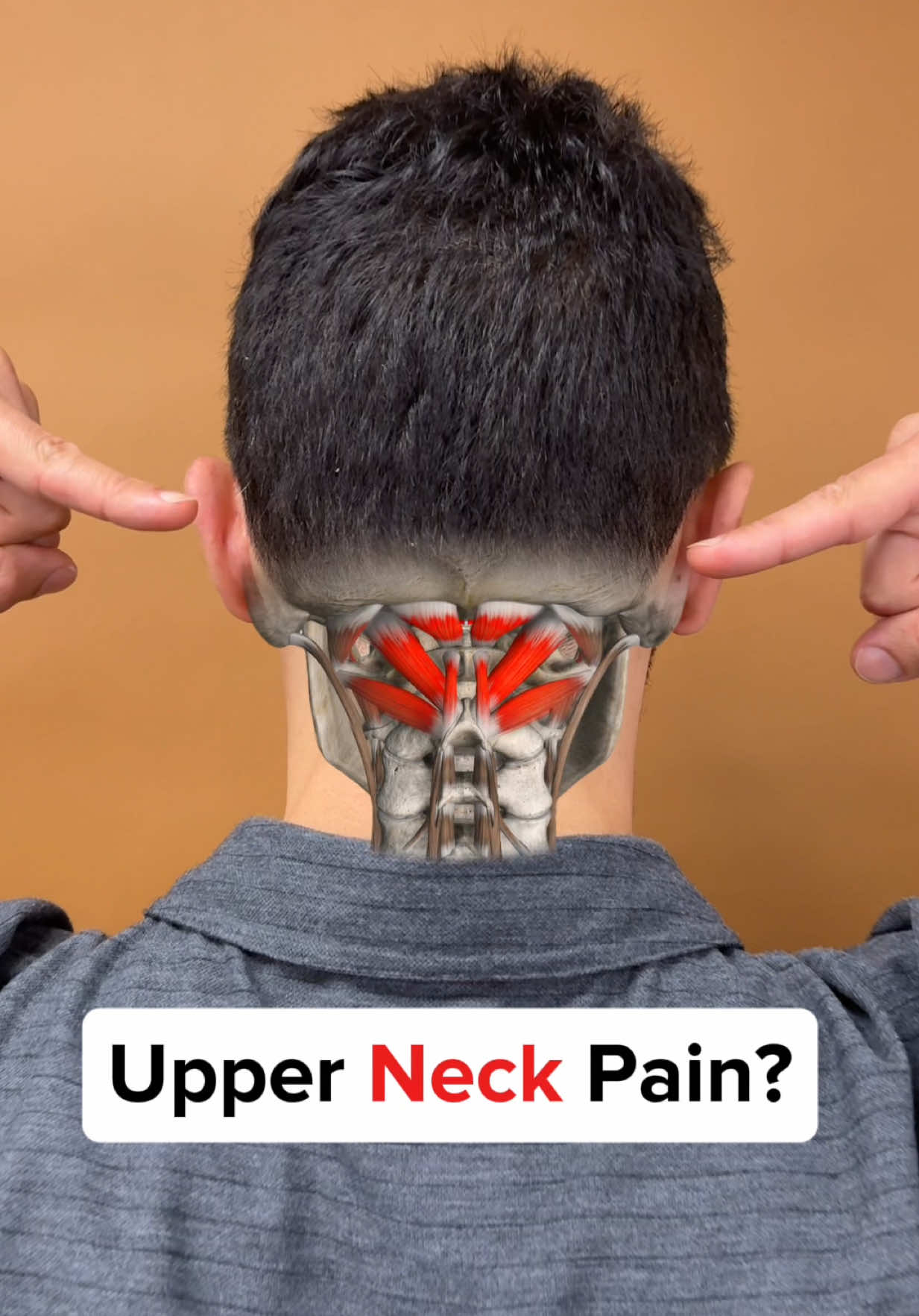 @Dr. Joe Damiani, DPT