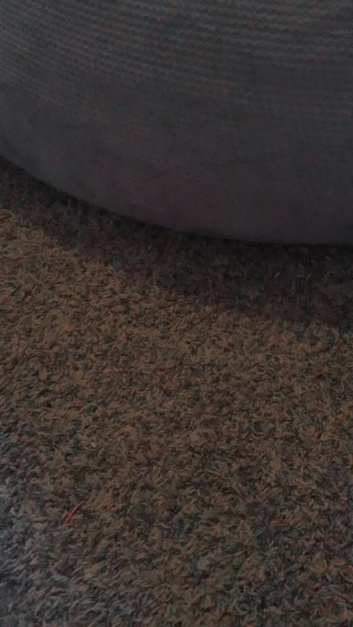 @lolomggurls
