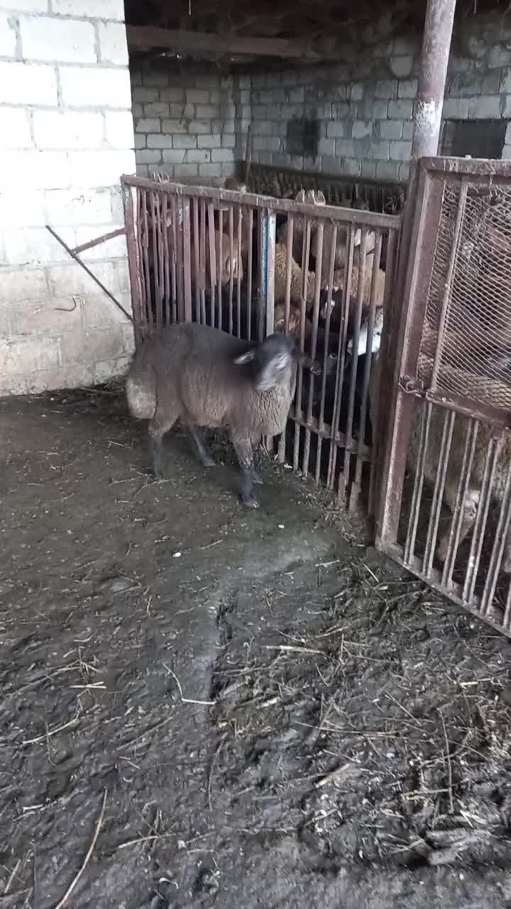 @Çöl.adamı