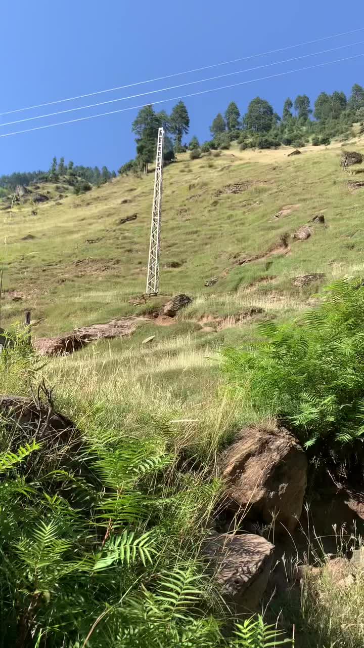 @Shahzaib Ali
