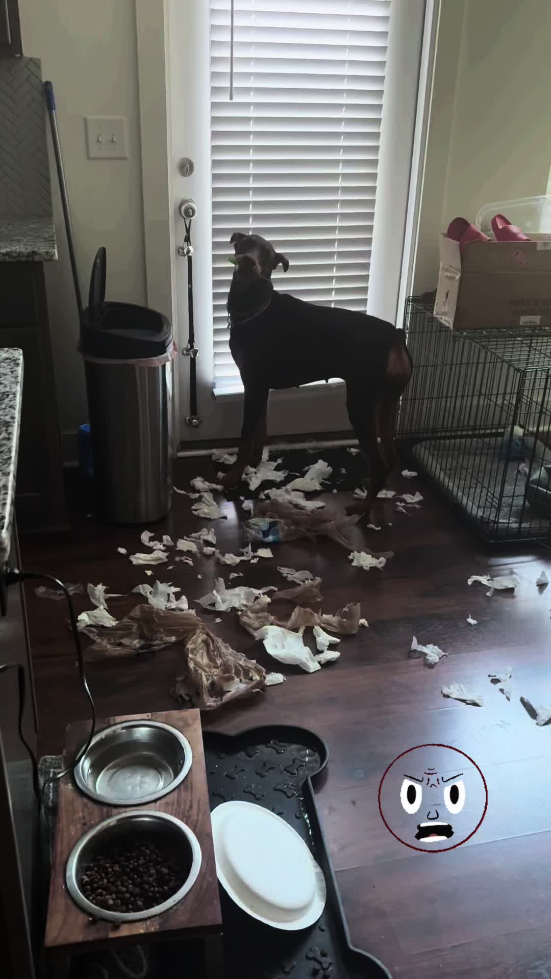 @ShantitheDobie