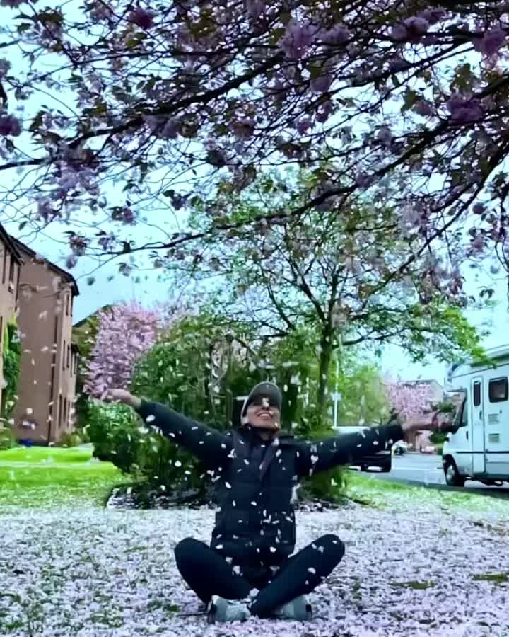 @marjanmjd