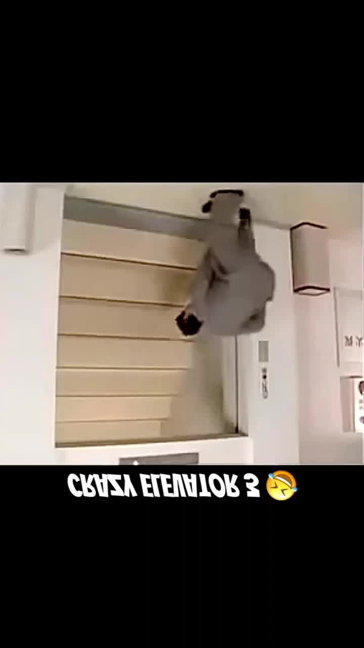 @dorawpvrcde