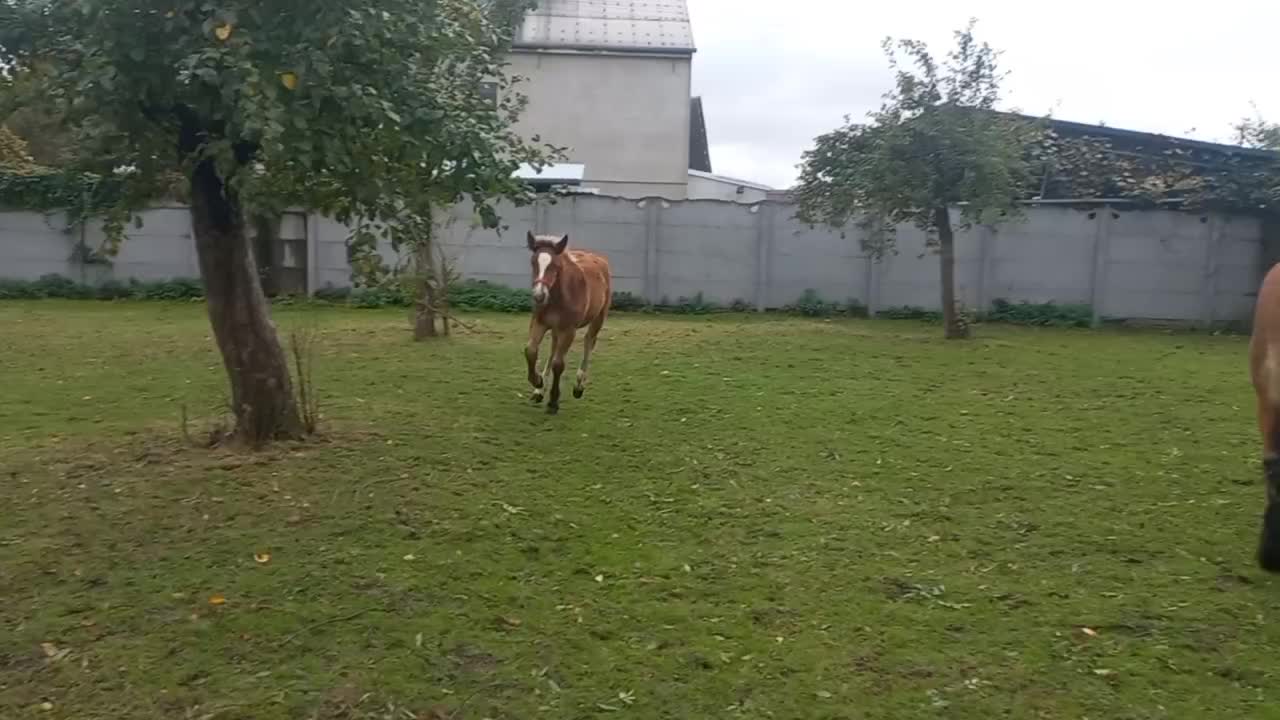 @robertstachowski02