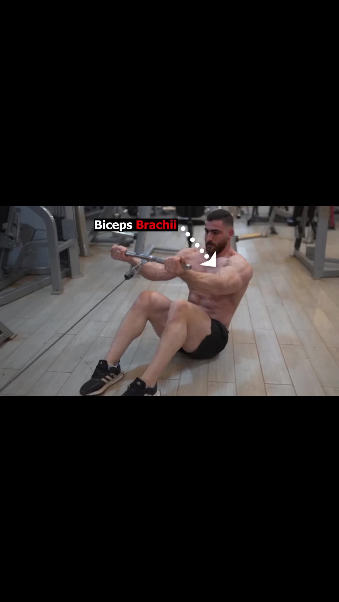 @GymFitnessMode
