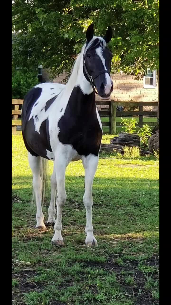 @Lynn Chrisman