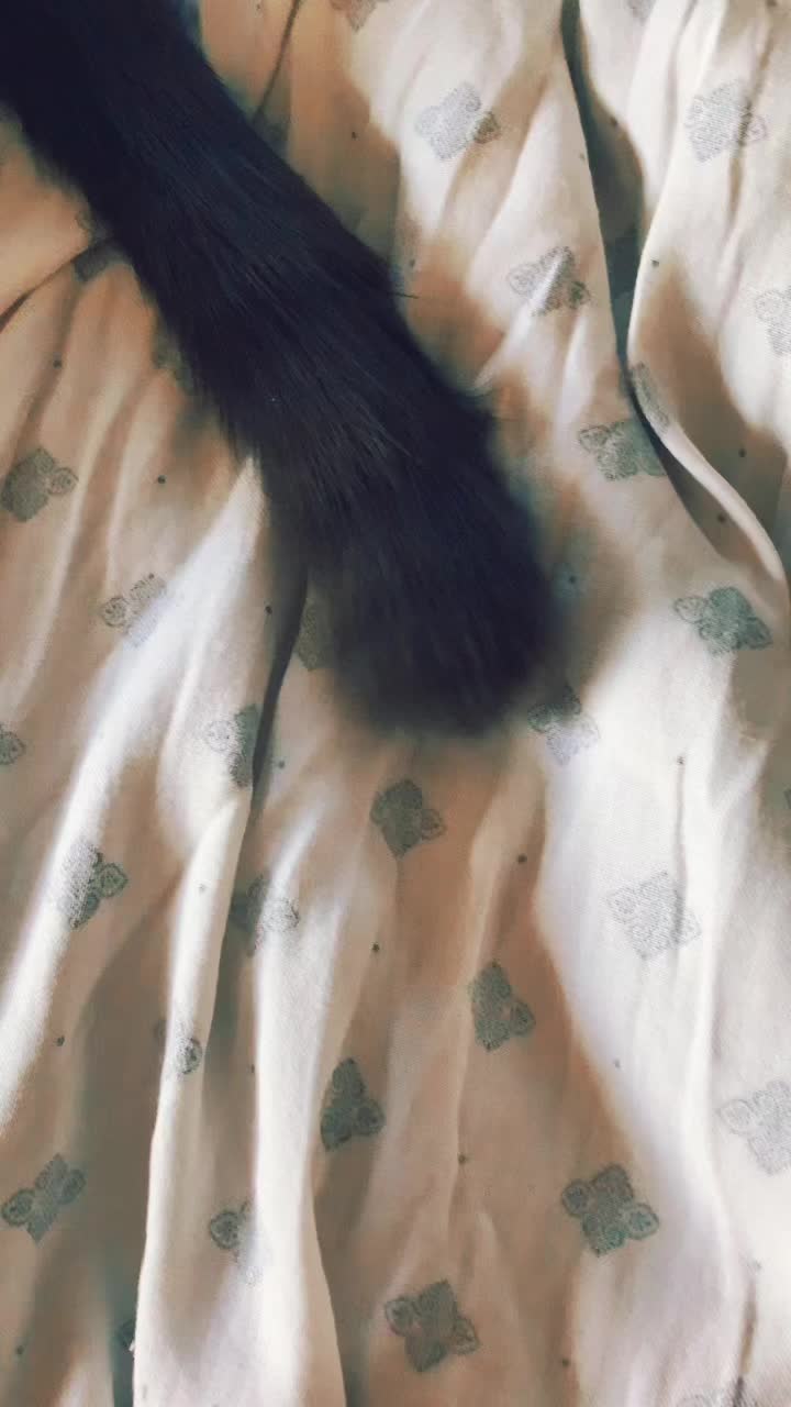 @Grayartcat