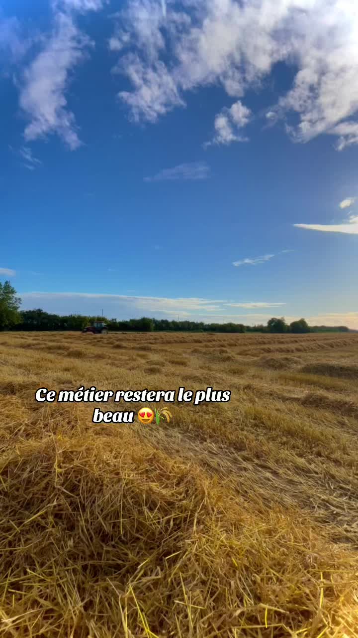 @B🅰️PT 🌾🚜