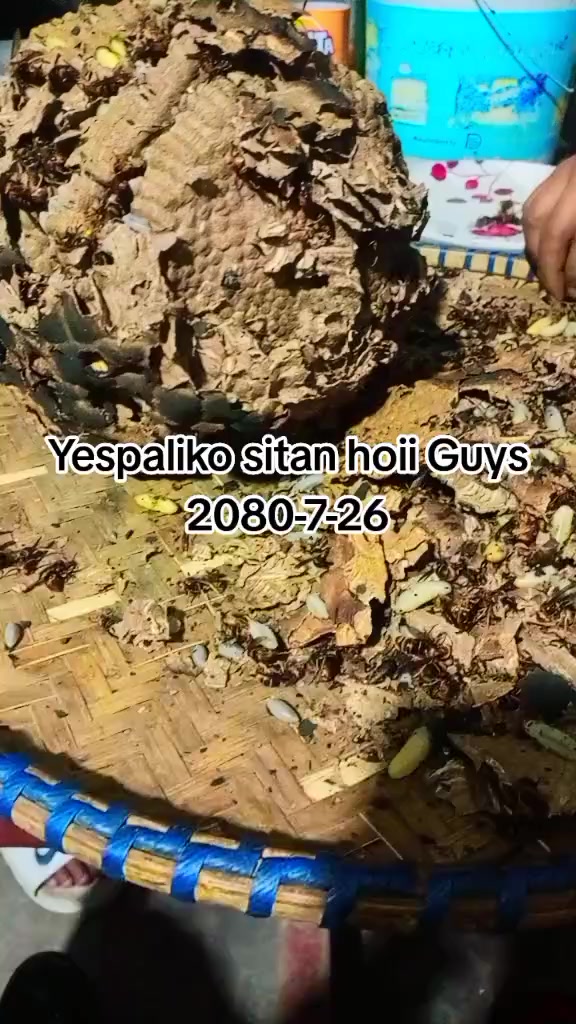 @Suman Poon782