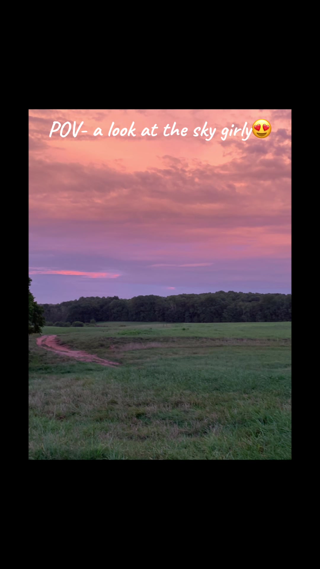 @Cat💜