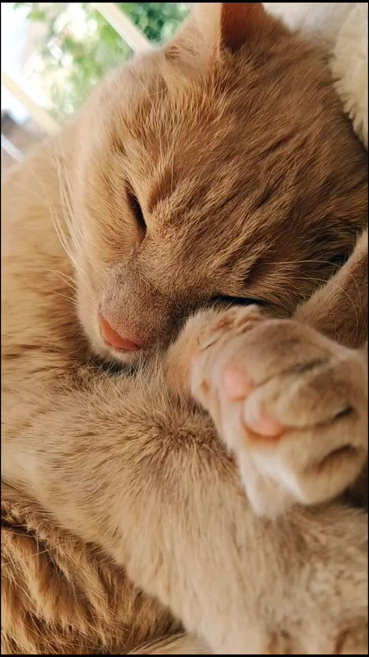 @calm_aesthetic