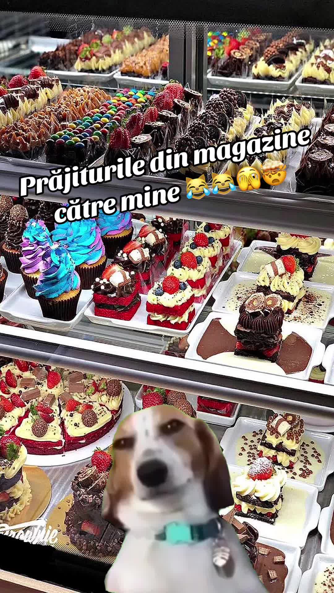 @🦋 Diannee 🦋