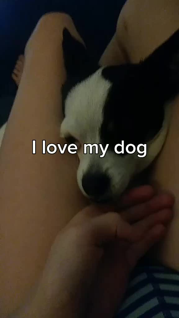 @baby Lulu