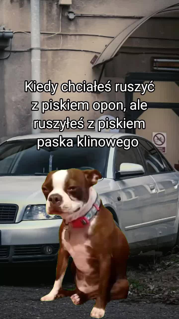@Kacper
