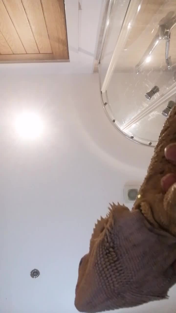 @I love Ricky the rat