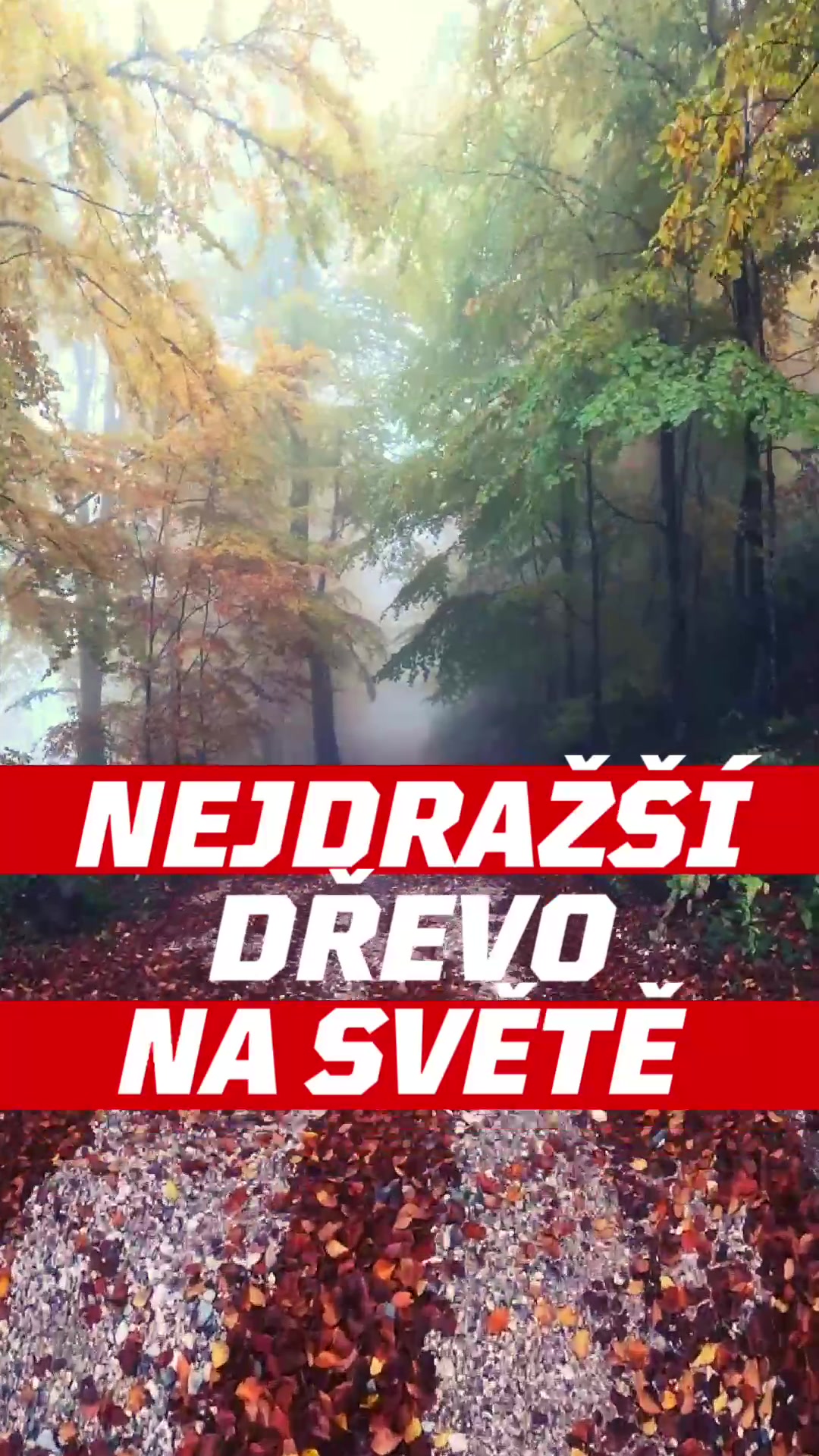 @Stromovous