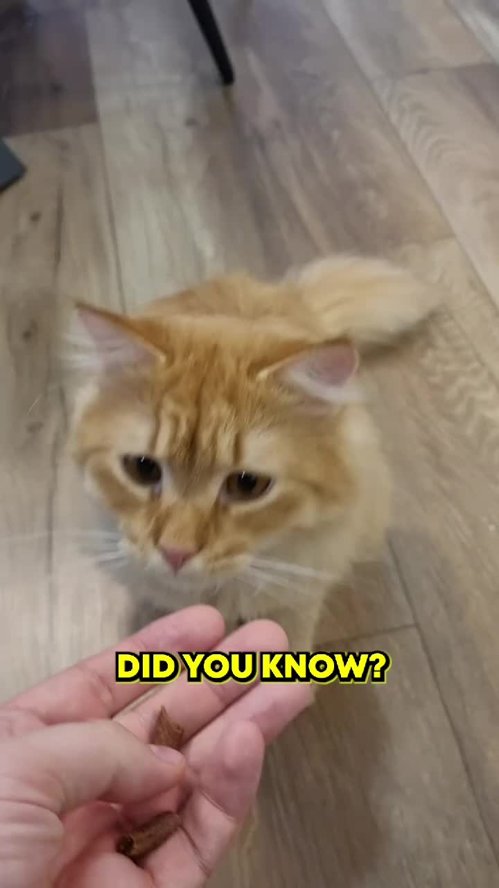 @PawzPot_com