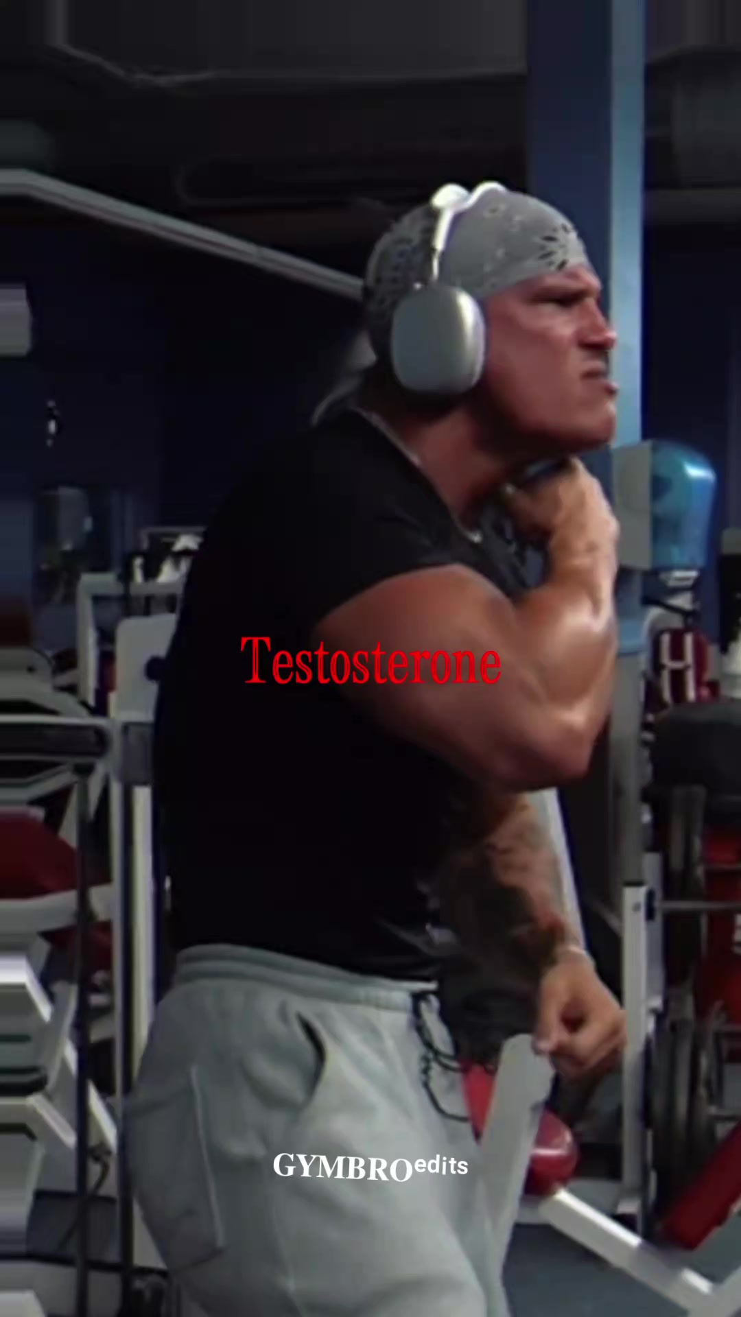 @𝐆𝐘𝐌𝐁𝐑𝐎ᵉᵈⁱᵗˢ