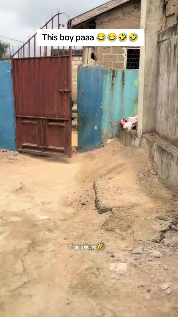 @Funny Videos 🤣