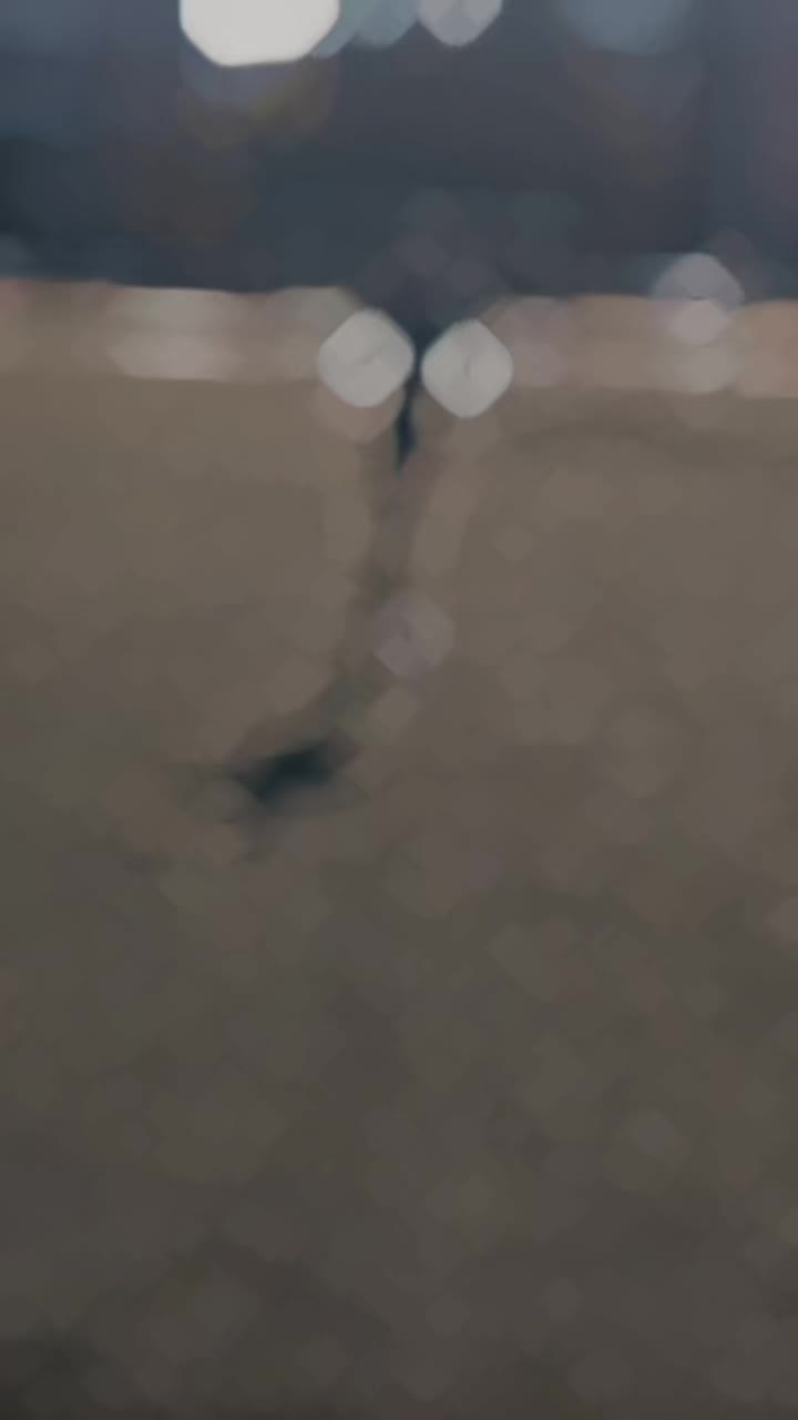 @𝗛𝗮𝘀𝗮𝗻 𝗧𝗮𝗿𝗮𝗿 🌼🕊